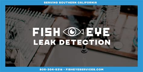 Fisheye Leak Detection